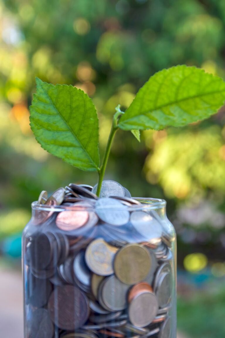 Image of a jar full of coins with a plant growing out of it.
